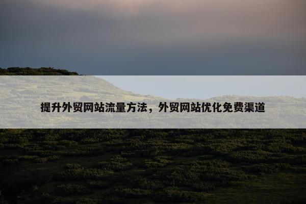 提升外贸网站流量方法，外贸网站优化免费渠道