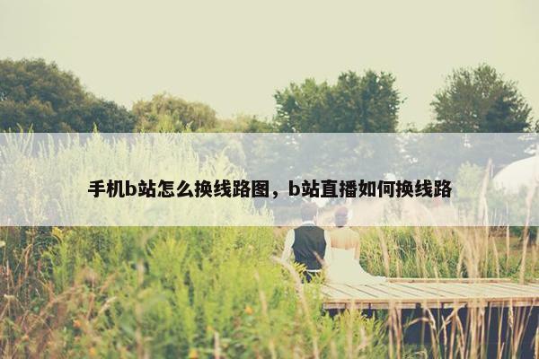 手机b站怎么换线路图，b站直播如何换线路