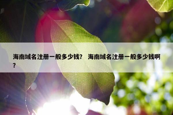 海南域名注册一般多少钱？ 海南域名注册一般多少钱啊？