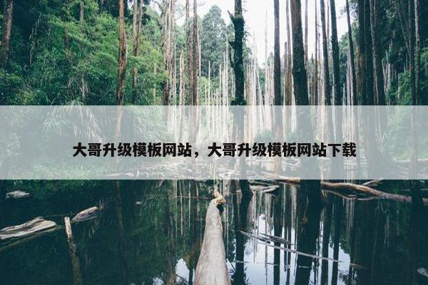 大哥升级模板网站，大哥升级模板网站下载