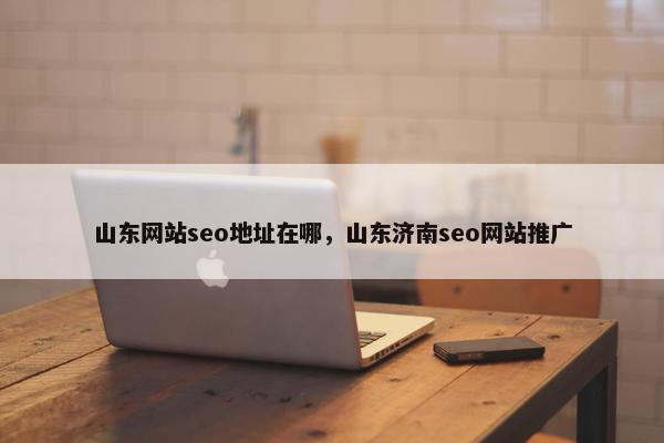 山东网站seo地址在哪，山东济南seo网站推广