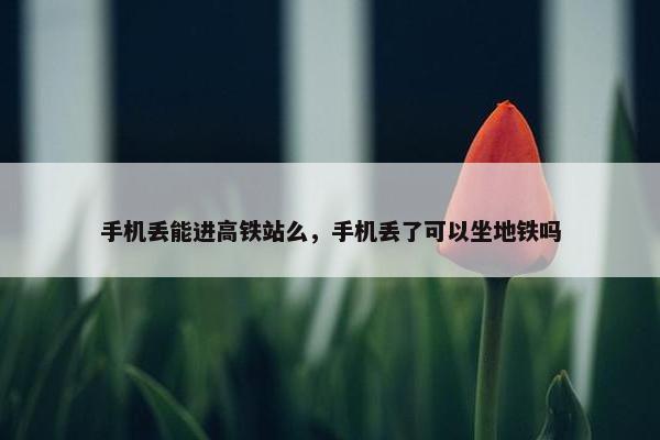 手机丢能进高铁站么，手机丢了可以坐地铁吗