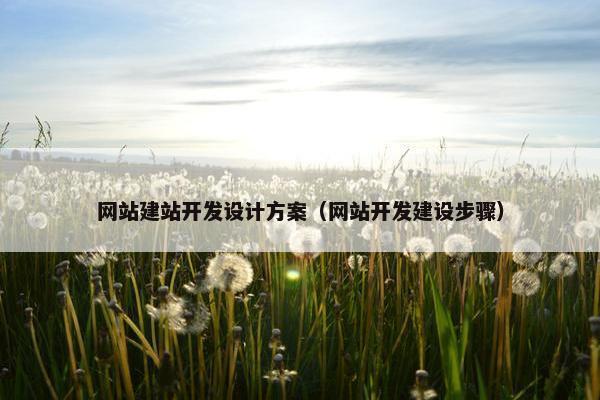 网站建站开发设计方案（网站开发建设步骤）