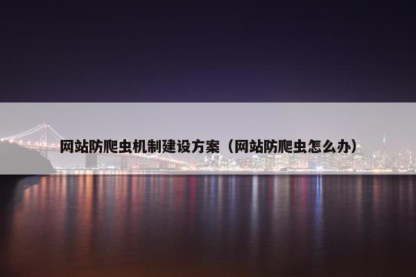 网站防爬虫机制建设方案（网站防爬虫怎么办）