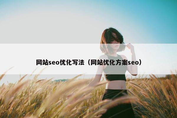 网站seo优化写法（网站优化方案seo）