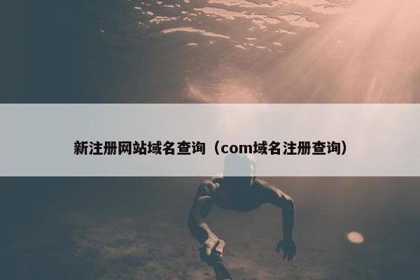 新注册网站域名查询（com域名注册查询）