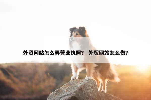 外贸网站怎么弄营业执照？ 外贸网站怎么做？