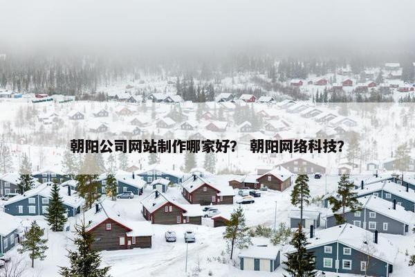 朝阳公司网站制作哪家好？ 朝阳网络科技？
