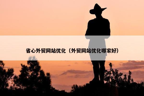 省心外贸网站优化（外贸网站优化哪家好）