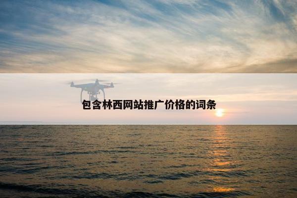 包含林西网站推广价格的词条