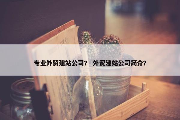 专业外贸建站公司？ 外贸建站公司简介？