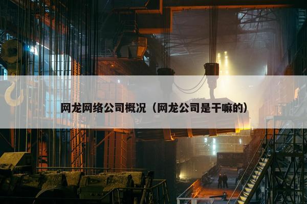 网龙网络公司概况（网龙公司是干嘛的）
