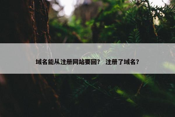 域名能从注册网站要回？ 注册了域名？