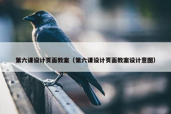 第六课设计页面教案（第六课设计页面教案设计意图）