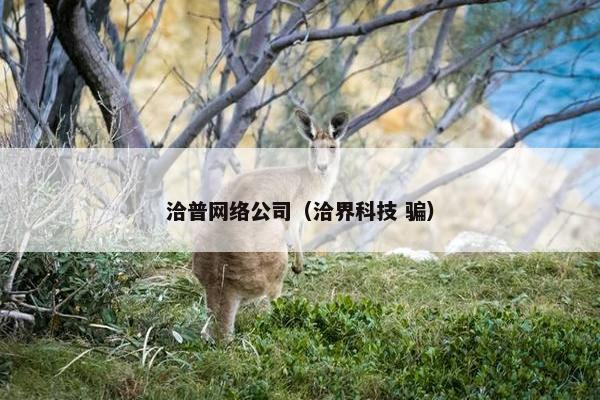 洽普网络公司（洽界科技 骗）