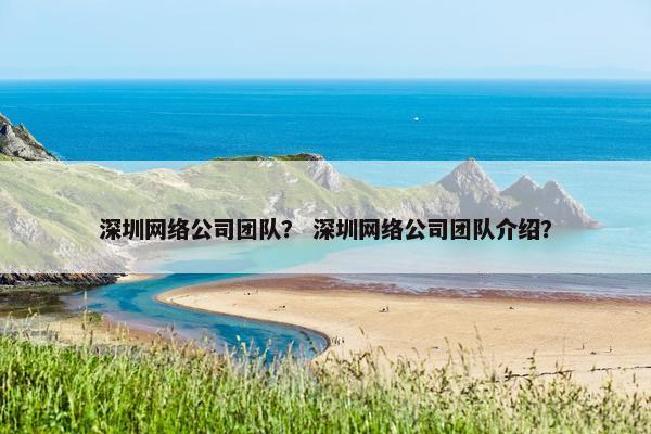 深圳网络公司团队？ 深圳网络公司团队介绍？