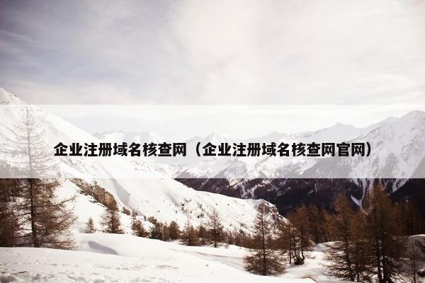 企业注册域名核查网（企业注册域名核查网官网）