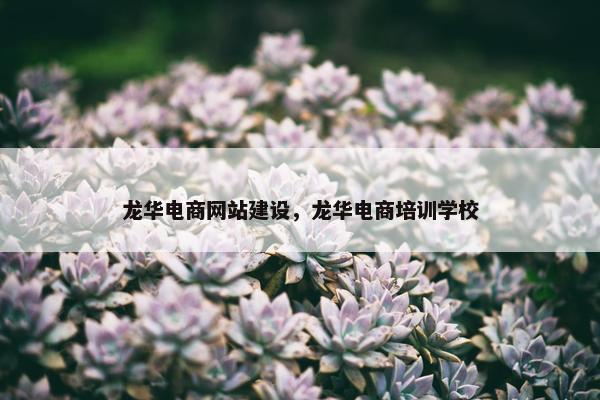龙华电商网站建设，龙华电商培训学校