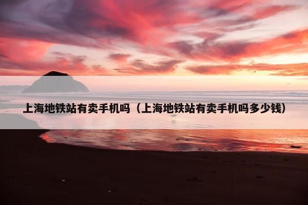 上海地铁站有卖手机吗（上海地铁站有卖手机吗多少钱）