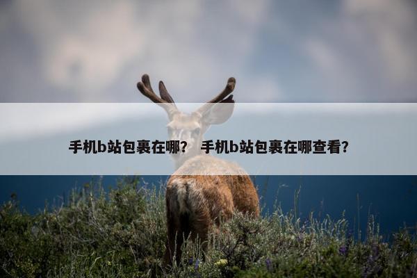 手机b站包裹在哪？ 手机b站包裹在哪查看？