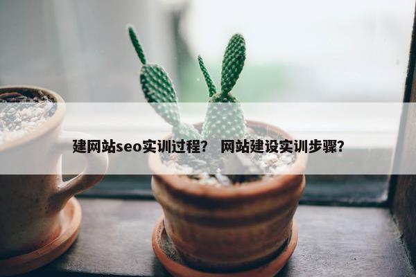 建网站seo实训过程？ 网站建设实训步骤？