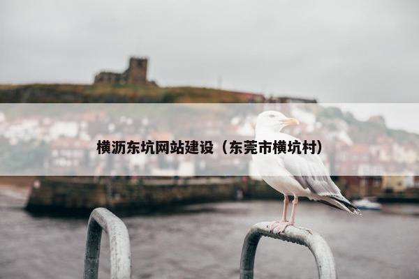 横沥东坑网站建设（东莞市横坑村）