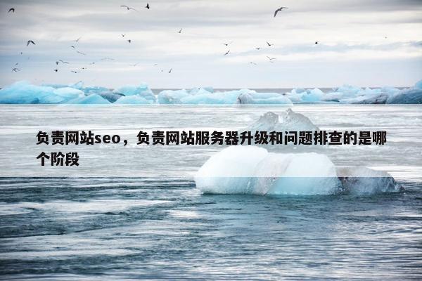 负责网站seo，负责网站服务器升级和问题排查的是哪个阶段