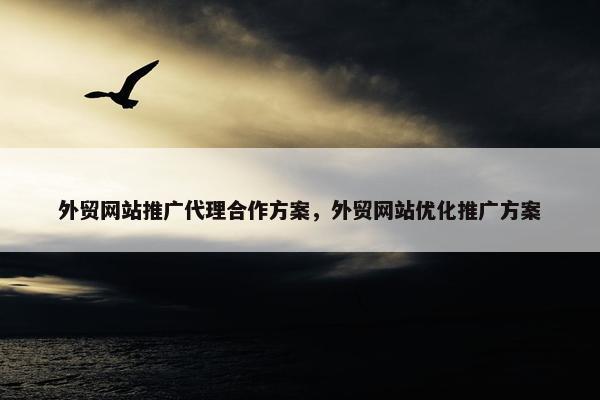 外贸网站推广代理合作方案，外贸网站优化推广方案