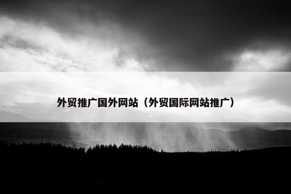 外贸推广国外网站（外贸国际网站推广）