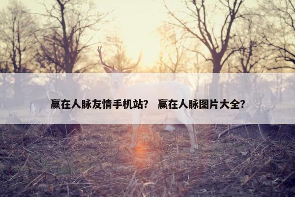 赢在人脉友情手机站？ 赢在人脉图片大全？