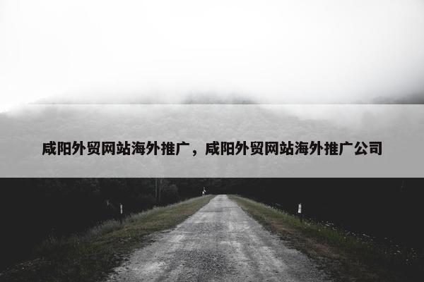 咸阳外贸网站海外推广，咸阳外贸网站海外推广公司