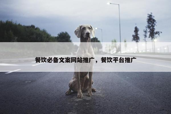 餐饮必备文案网站推广，餐饮平台推广