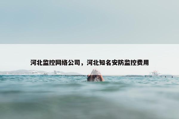 河北监控网络公司，河北知名安防监控费用
