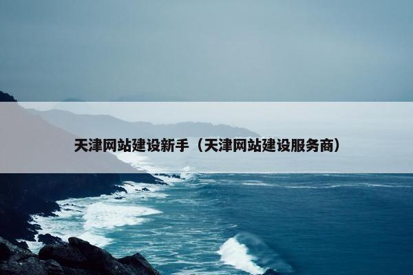 天津网站建设新手（天津网站建设服务商）