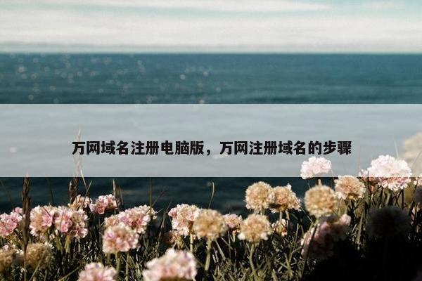 万网域名注册电脑版，万网注册域名的步骤