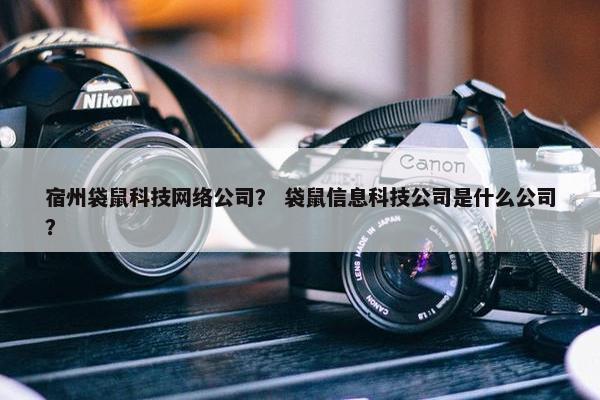 宿州袋鼠科技网络公司？ 袋鼠信息科技公司是什么公司？