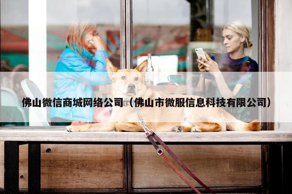 佛山微信商城网络公司（佛山市微服信息科技有限公司）