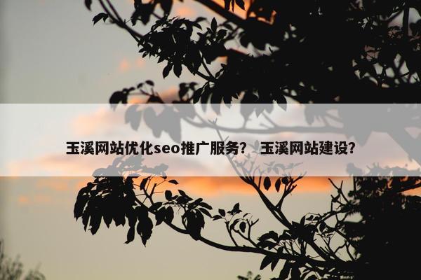 玉溪网站优化seo推广服务？ 玉溪网站建设？