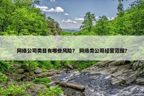 网络公司类目有哪些风险？ 网络类公司经营范围？