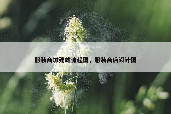 服装商城建站流程图，服装商店设计图