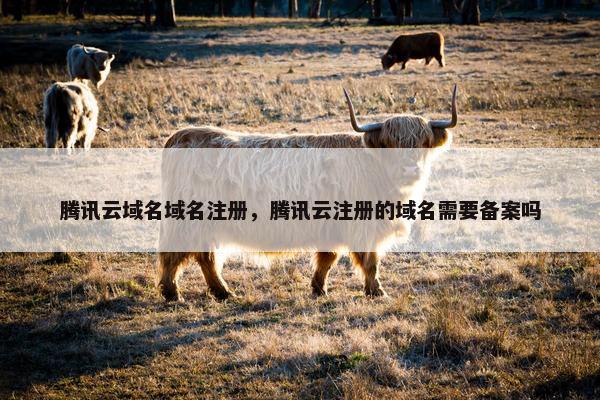 腾讯云域名域名注册，腾讯云注册的域名需要备案吗