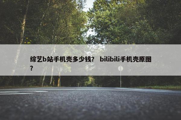 综艺b站手机壳多少钱？ bilibili手机壳原图？