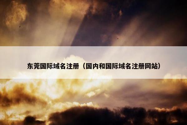 东莞国际域名注册（国内和国际域名注册网站）
