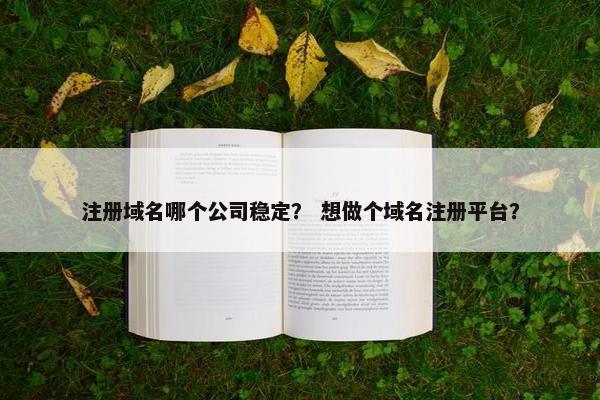 注册域名哪个公司稳定？ 想做个域名注册平台？