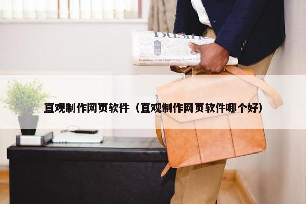 直观制作网页软件（直观制作网页软件哪个好）
