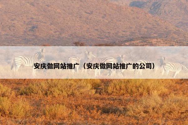 安庆做网站推广（安庆做网站推广的公司）