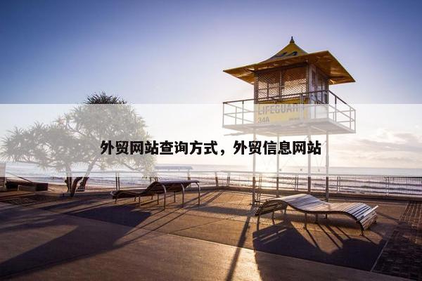外贸网站查询方式，外贸信息网站