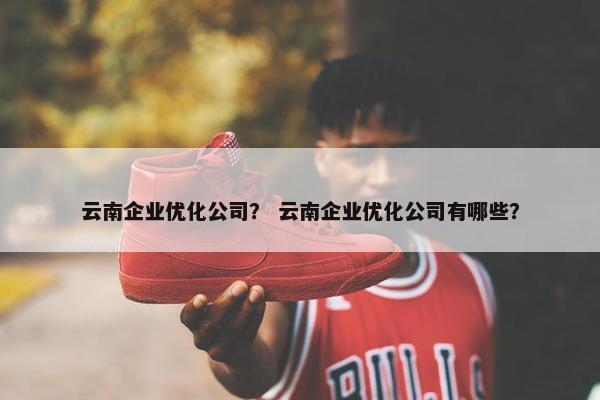 云南企业优化公司？ 云南企业优化公司有哪些？