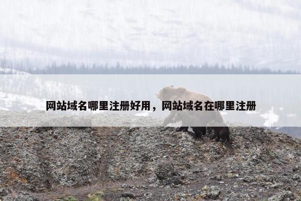 网站域名哪里注册好用，网站域名在哪里注册
