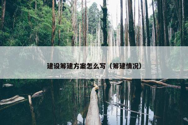 建设筹建方案怎么写（筹建情况）